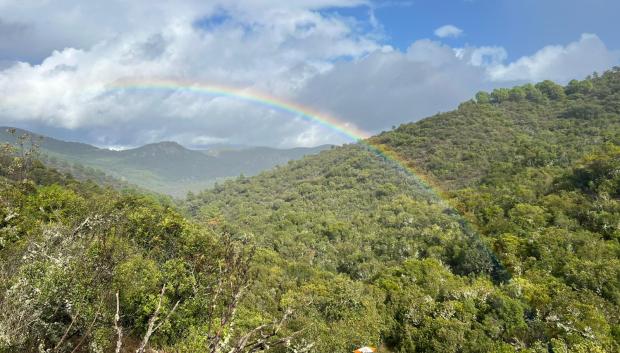 Y tras la tormenta...