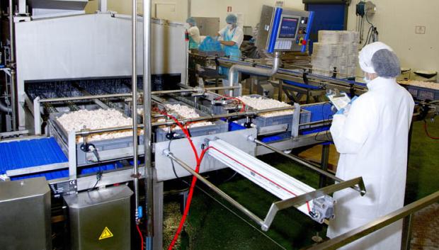 Imagen de las instalaciones de Dimarosa