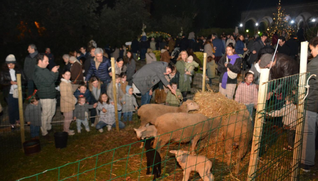 El belén viviente contará con pastores... y sus animales