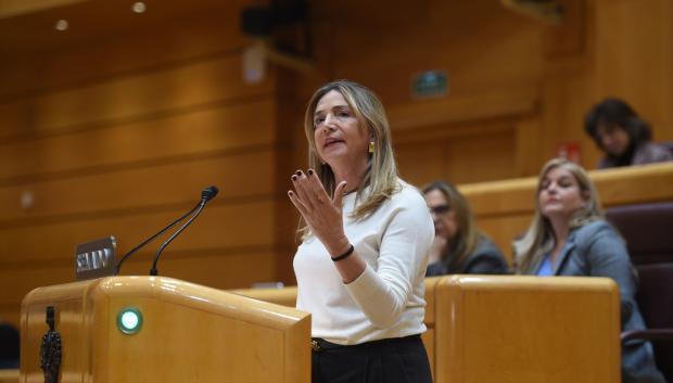 La portavoz del PP en el Senado, Alicia García