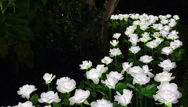 Jardín infinito de Santiago de Compostela