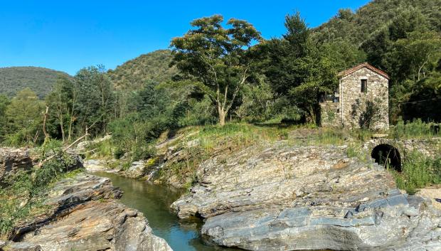 La España rural del siglo XVII es el origen de "Los peces en el río".