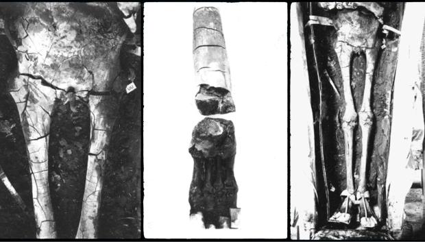 Fotografías realizadas por Harry Burton donde se muestra el desastroso estado de la momia