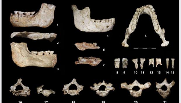 Restos fósiles hallados en un yacimiento de Casablanca (Marruecos), que aportan nuevas pruebas de que África es el origen de la especie humana