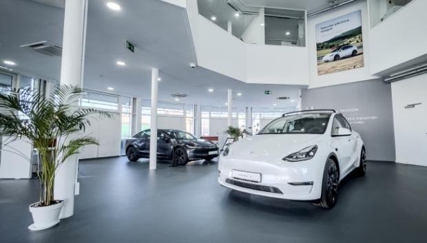 Complicado vender eléctricos sin ningún tipo de ayudas