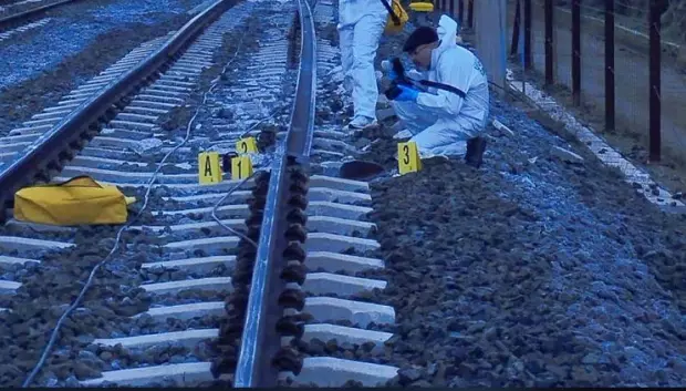 La explicación más sensata hoy es rotura de raíl por fatiga de materiales