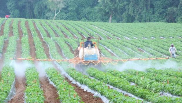 El problema de los biocombustibles de primera generación es que consumen muchos cultivos