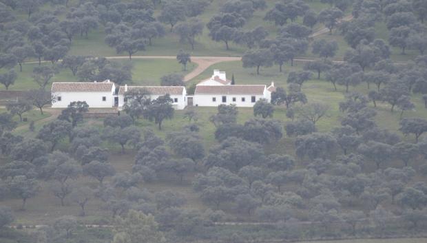 FINCA GARGANTA, EN CIUDAD REAL PROPIEDAD DE GERALD CAVENDISH GROSVENOR