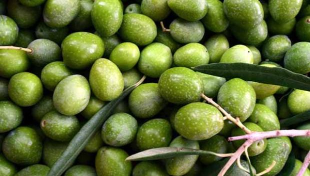 Aceitunas gallegas