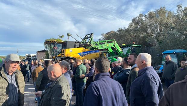 Un grupo de payeses, en la tractorada de Ariany