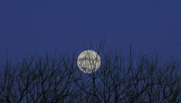 Fotografía que muestra la Luna de Nieve, la segunda luna llena del 2026 este sábado, en La Chorrera (Panamá)