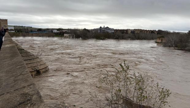 Aspecto que presentaba ayer el Guadalquivir a su paso por Córdoba