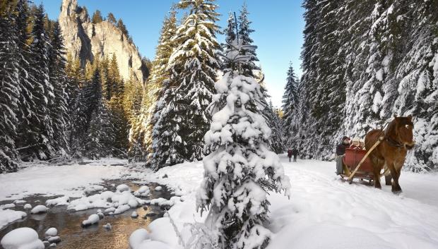 Excursión en trineo por los paisajes de Zakopane