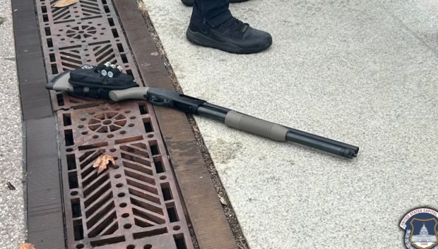 armas arresto capitolio