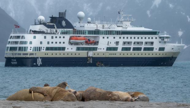 El viaje conectará con la fauna y los paisajes del Ártico