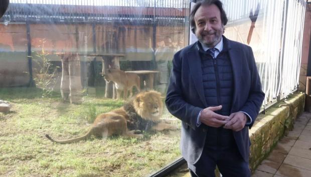 Daniel García-Ibarrola, junto a los nuevos leones del Zoo de Córdoba
