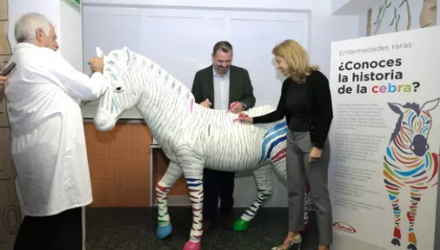 El hospital La Paz instala una cebra de tamaño natural, símbolo de las Enfermedades Raras