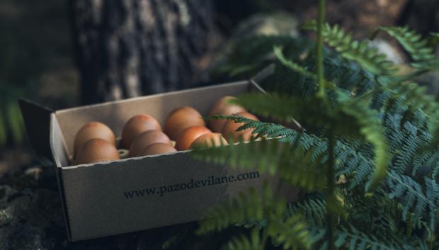 Caja de huevos de Pazo de Vilante