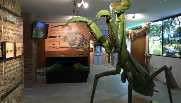 Insect Park, Centro de Naturaleza en plena sierra de Madrid