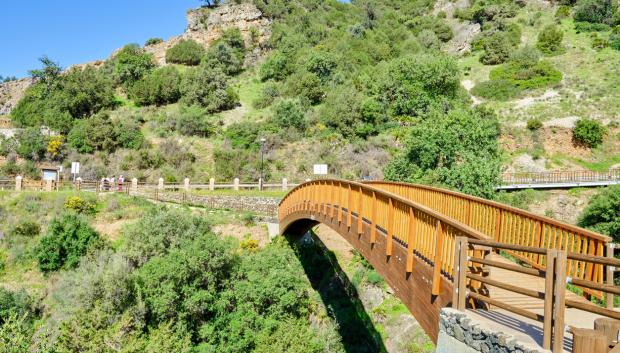 Ruta de senderismo cercana a Benahavís