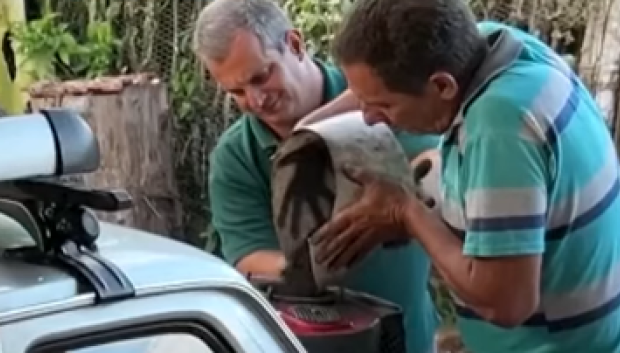 Así repostan el depósito del coche