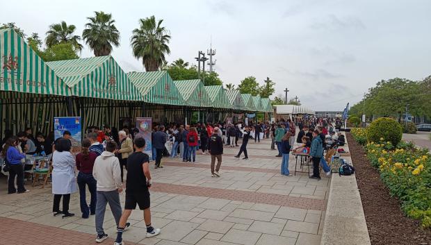 Vista del XX Paseo por la Ciencia en Córdoba