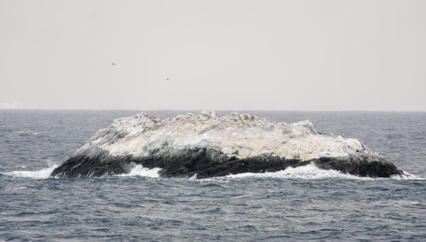 Isla en el mar de Weddell aún no registrada en las cartas náuticas