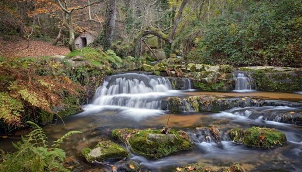 El recorrido discurre junto al río Oneta