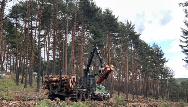 Inicio de los trabajos del Plan Madrid Forestal en el monte de Gascones