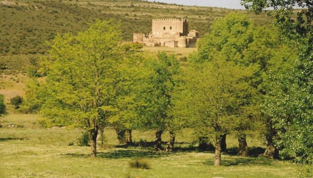 Castillo de Guadalerzas