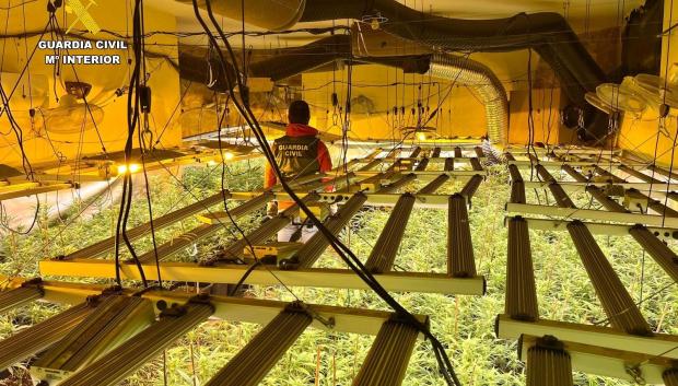 Cultivo de marihuana desmantelado por la Guardia Civil en Granada la semana pasada