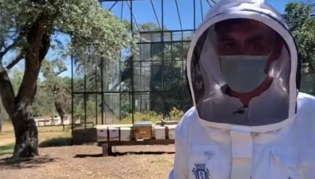 El jefe de grupo de Bomberos Madrid cuenta cómo es el paso de las abejas por el Apiario de la Casa de Campo
