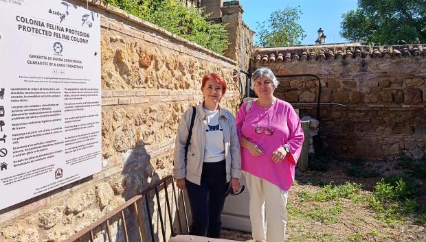 Mercedes Vara y Lola Alcaide en el punto de alimentación de gatos del Alcázar