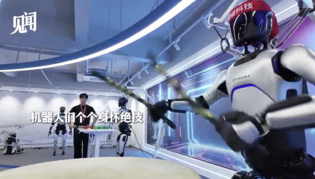 Robots humanoides