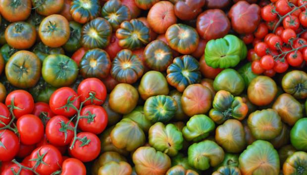 Tomates Muerdevida