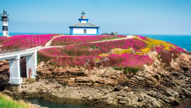 Isla de Pancha