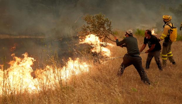 Los vecinos ayudan a los bomberos a combatir un incendio forestal en la zona de Cebreros, cerca de Ávila, a 80 km al oeste de Madrid, el 24 de julio de 2026.
España declaró el estado de emergencia nacional en la Comunidad de Madrid y en la provincia de Ávila, cerca de la capital, el 23 de julio de 2026, a raíz de varios incendios forestales que ardían sin control. Los científicos llevan mucho tiempo advirtiendo de que el cambio climático provocado por el uso humano de combustibles fósiles hará que los periodos de sequía sean más intensos y prolongados, creando las condiciones ideales para los incendios forestales.