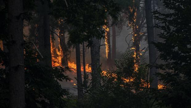 Vista del incendio cerca de la Charca de la Nieta en Piedralaves, Ávila