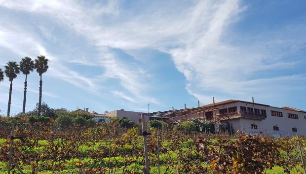 Bodega El Lomo