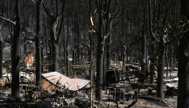 Paisaje quemado en el Parque Natural del Valle de Iruelas arrasado por el incendio de Burgohondo (Ávila)