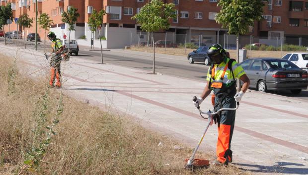 Estos trabajos son poco habituales en las carreteras
