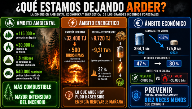 Qué estamos dejando arder