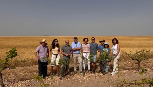 El delegado provincial de Agricultura, Ganadería y Desarrollo Rural en Albacete, Ramón Sáez, ha visitado parcelas de viñedo afectadas por el brote de langosta mediterránea en la zona esteparia del este de Albacete