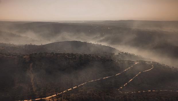 Fotografía aérea de una zona calcinada por el fuego en la Sierra Oeste