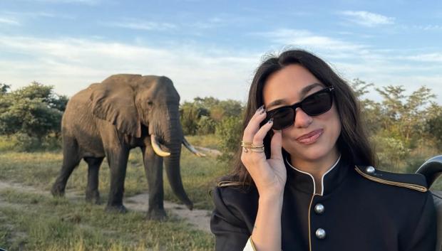 Dua Lipa en Sudáfrica