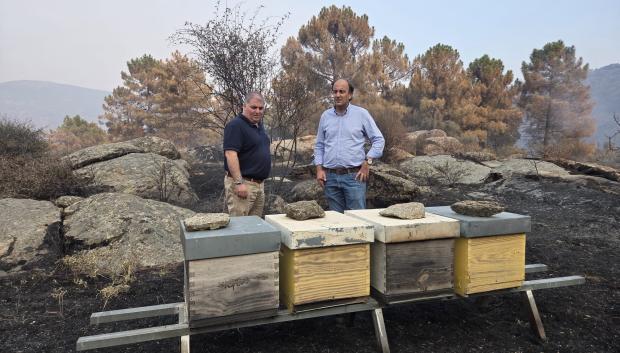 El consejero de Agricultura, Ganadería, Medio Rural y Política Ambiental, Joaquín Antonio Pino, visita el Valle de Iruelas y otros terrenos afectados por el incendio de la provincia de Ávila