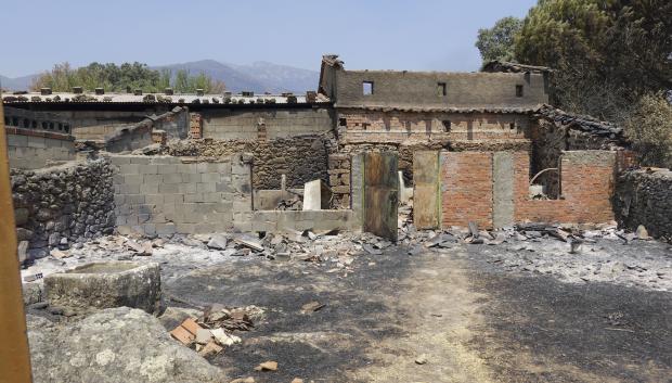 Una finca arrasada en Casavieja (Ávila) tras el incendio de Burgohondo