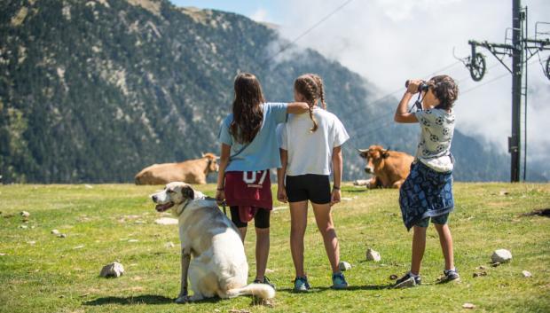 Unas niñas disfrutan en Vallter junto a unas vacas