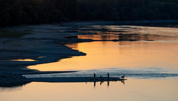Pescadores en un banco de arena descubierto por el bajo nivel del agua del Danubio en Vamosszabadi, noroeste de Hungría