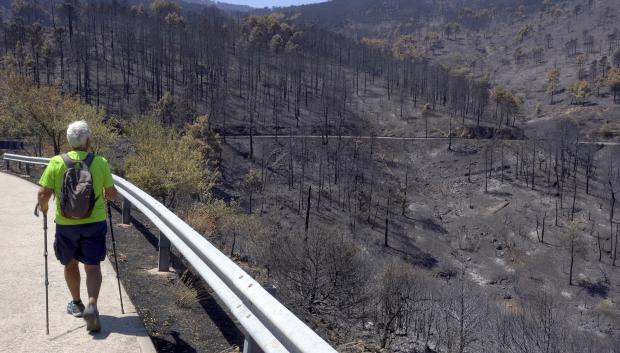 Un hombre practica senderismo este lunes por una de las zonas afectadas por el incendio de Burgohondo en el entorno de el Valle de Iruelas